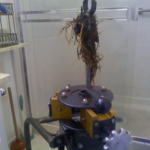 unlogging a drain from a thousand oaks home